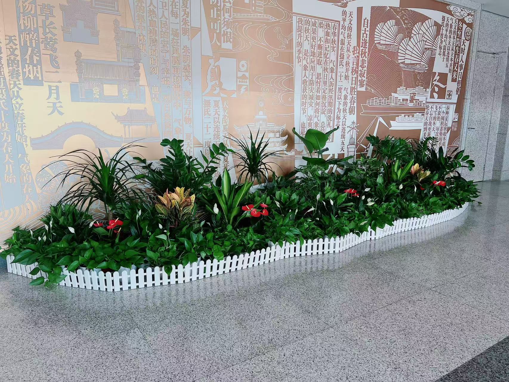 租盆景就选宁波杭州湾，让空间更有韵味